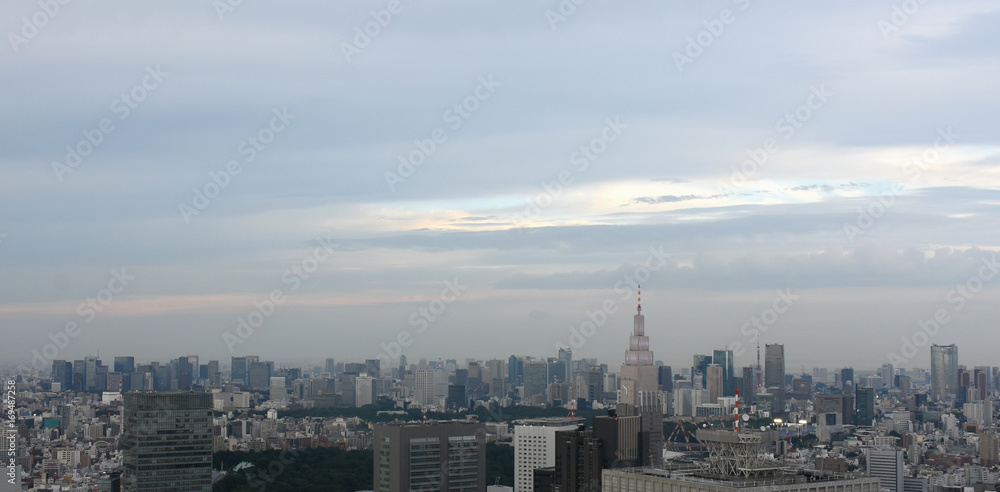 日本の東京都市景観（千代田区や港区などのビル群を望む）