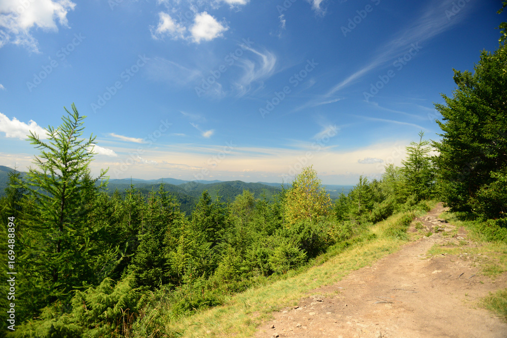 Summer in the mountains