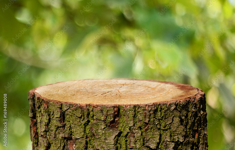 Tree trunk background