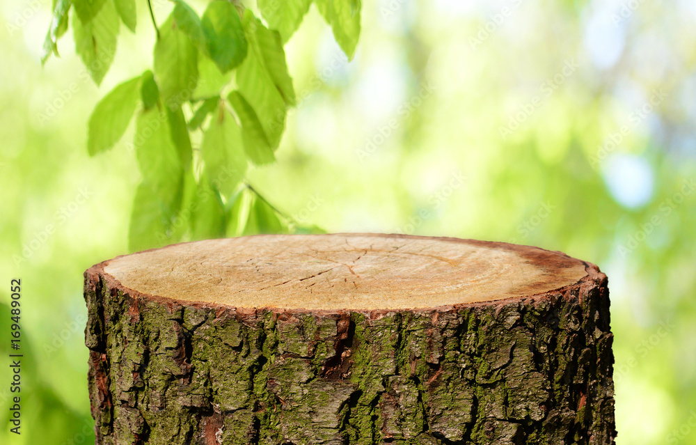 Naklejka premium Tree trunk background