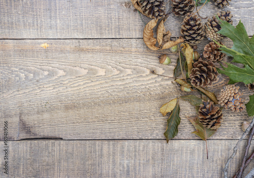 Autumn background and border of rustic wood with acorns, sticks, twigs leaves and pinecones