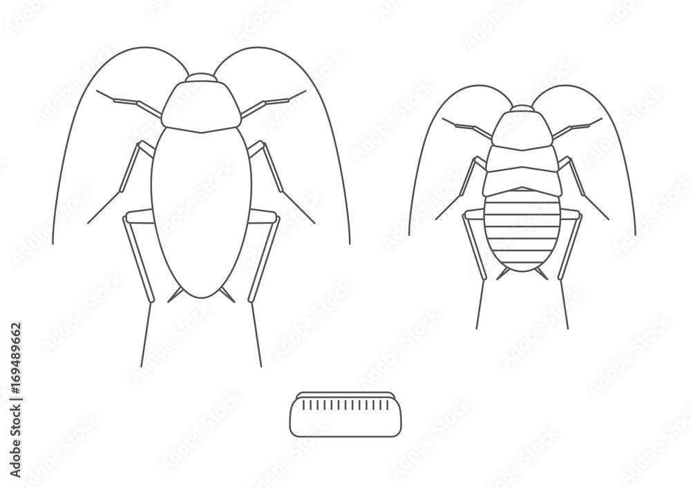 ゴキブリ アイコン ゴキブリ アイコン