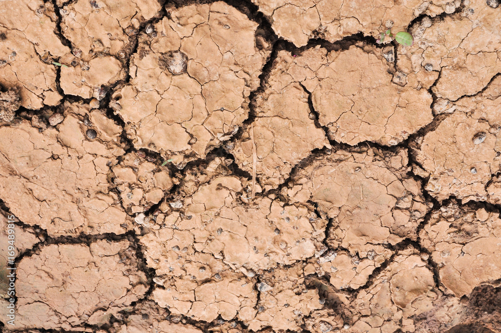 Dried cracked earth soil ground texture background Dried cracked earth soil ground texture background