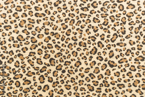 Skin of a jaguar. Fashionable animal pattern