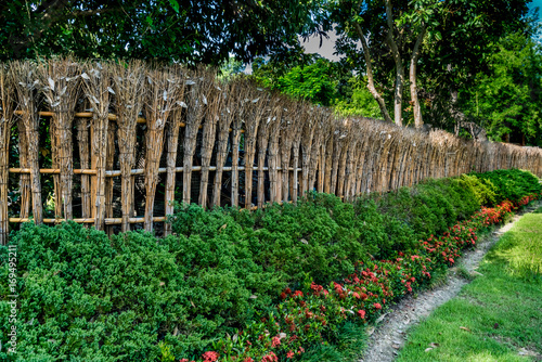 Fototapeta Naklejka Na Ścianę i Meble -  Bamboo fence of Japanese garden