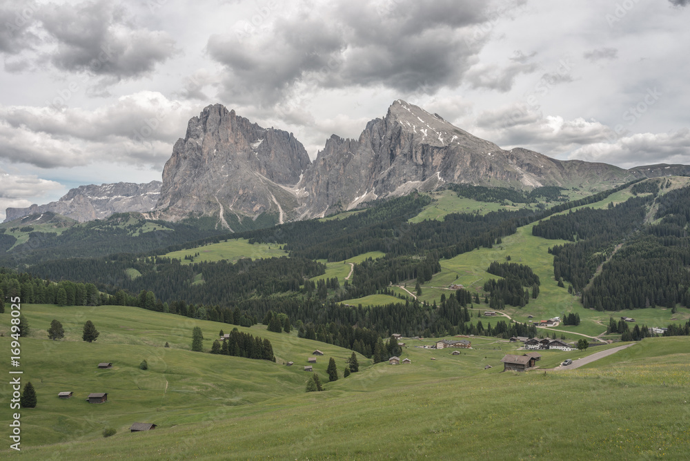 Alpe di Siusi/Seiser Alm, Dolomites, South Tyrol, Italy. View from the Alpe di Siusi to the peaks of Sassolungo/Langkofel and Sassopiatto / Plattkofel Alpe di Siusi/Seiser Alm, Dolomites, South Tyrol, Italy. View from the Alpe di Siusi to the peaks of Sassolungo/Langkofel and Sassopiatto / Plattkofel