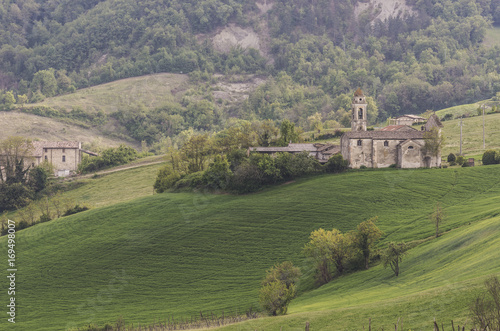 Oltrepo Pavese, Province of Pavia, Lombardy, Italy. photo