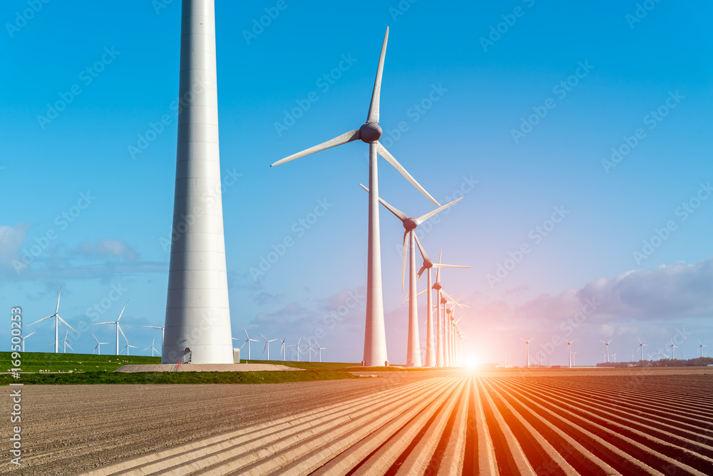 Fototapeta premium Sunset above windmills on the field