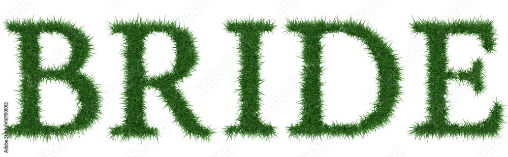 Bride - 3D rendering fresh Grass letters isolated on whhite background. Bride - 3D rendering fresh Grass letters isolated on whhite background.