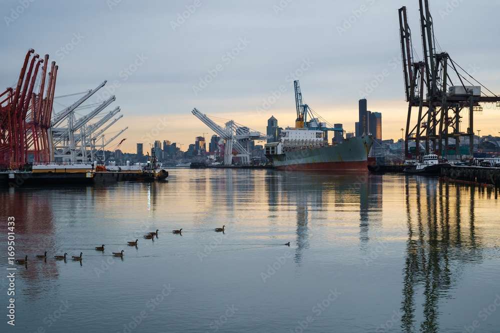 Obraz premium Ducks on the Duwamish