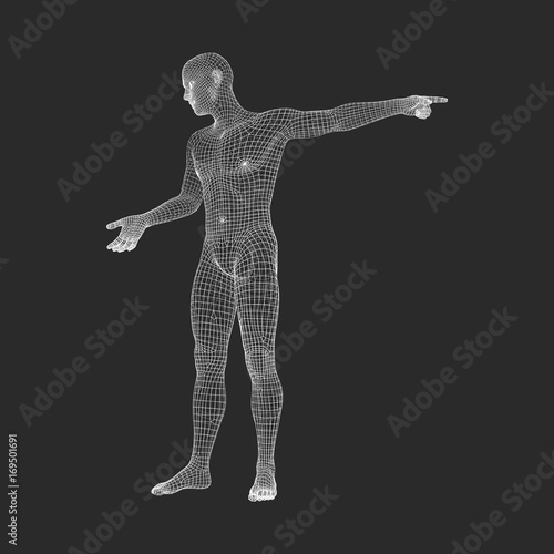 Fototapeta Naklejka Na Ścianę i Meble -  Man Pointing his Finger. 3D Model of Man. Geometric Design. Vector Illustration. 3d Polygonal Covering Skin. Human Polygon Body. Human Body Wire Model.