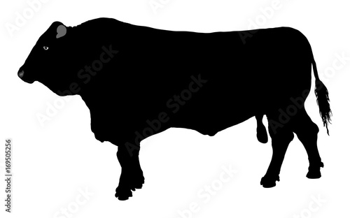 Standing adult bull vector silhouette illustration isolated on white background.