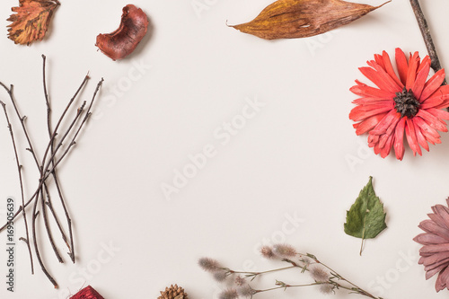 Autumn background  fallen leaves  dry petals  dried flowers and plants  simple rustic branches on white with circle space in center. Top view. Flat lay.