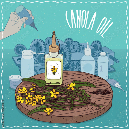 Plastic Oil Can of Canola oil and flowers and seeds of Canola plant. Hand lubrication mechanism. Natural vegetable oil used as grease lubricant