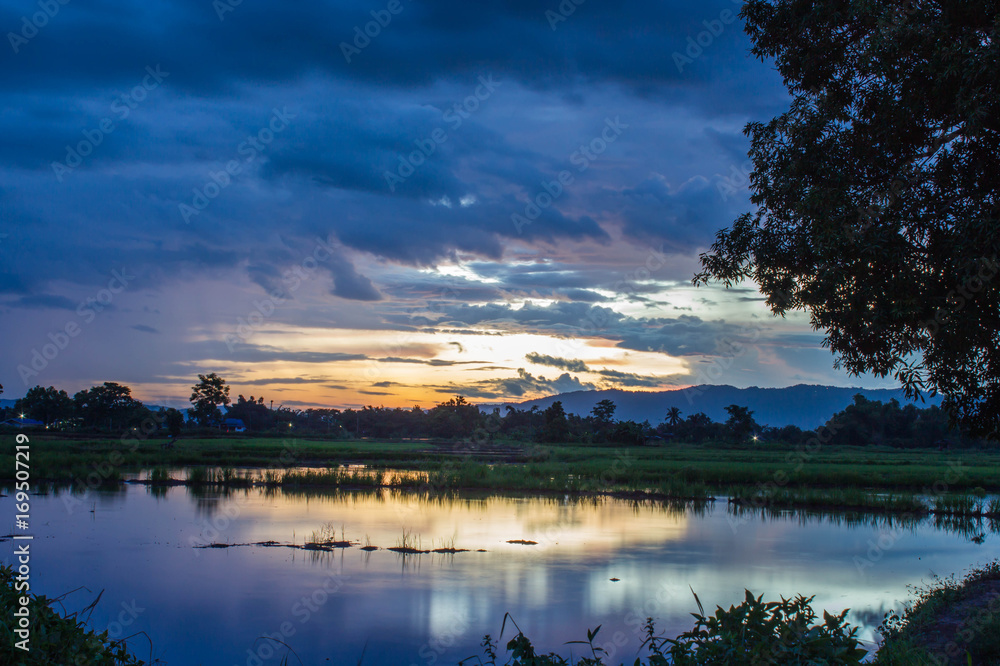 Landscape of rice field  at twilight sky sunset