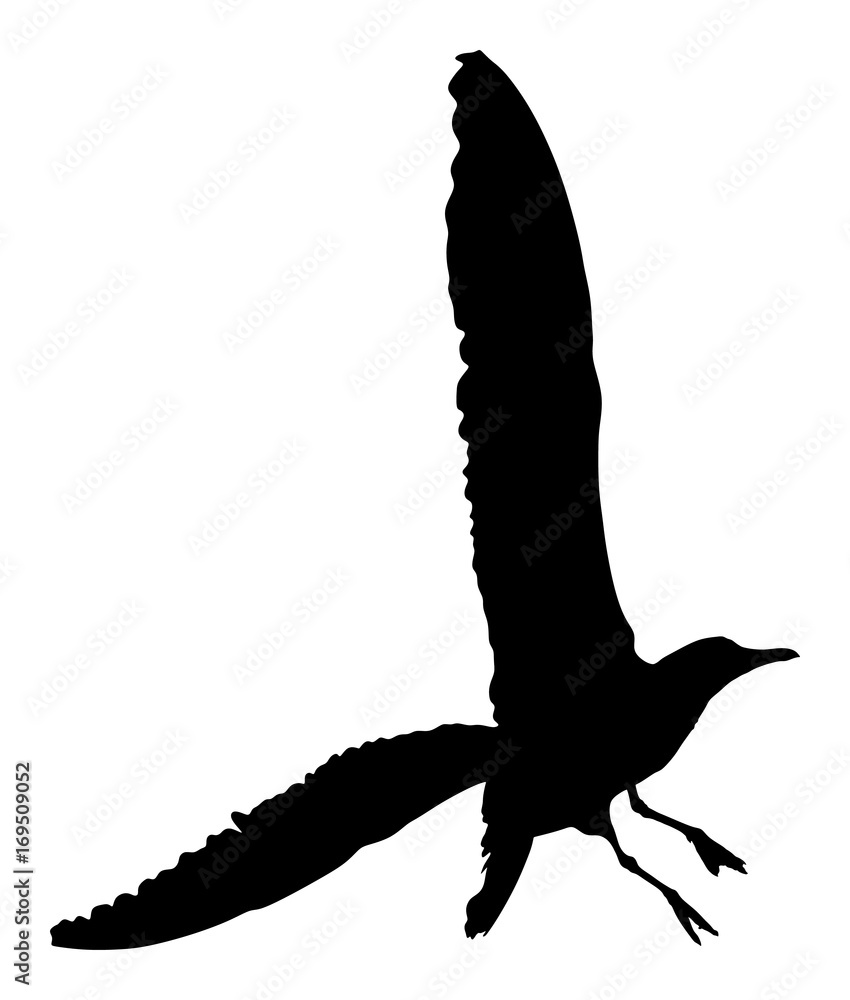 Naklejka premium Seagull fly vector silhouette isolated on white background, wings spread shadow illustration. Bird silhouette flying. Sea mew.