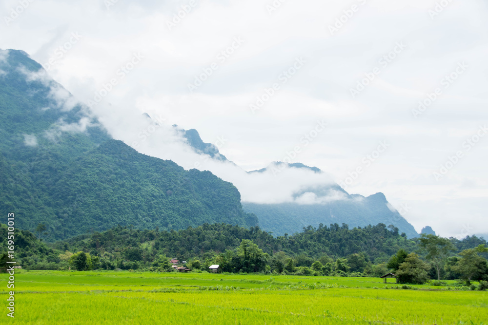 beautiful view mountain with mist and rice field.
