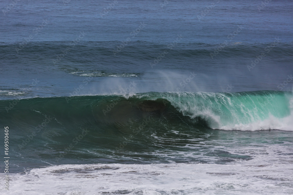 Fototapeta premium Wave