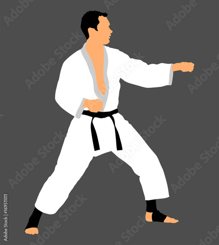 Karate man fighter in kimono, vector illustration. Black belt category.