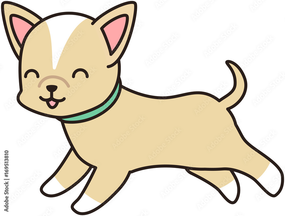 走る薄茶色の小型犬 走る薄茶色の小型犬