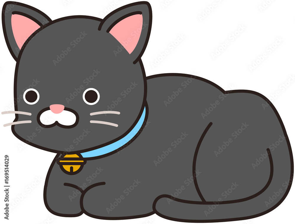 Fototapeta premium 黒い猫 香箱座り