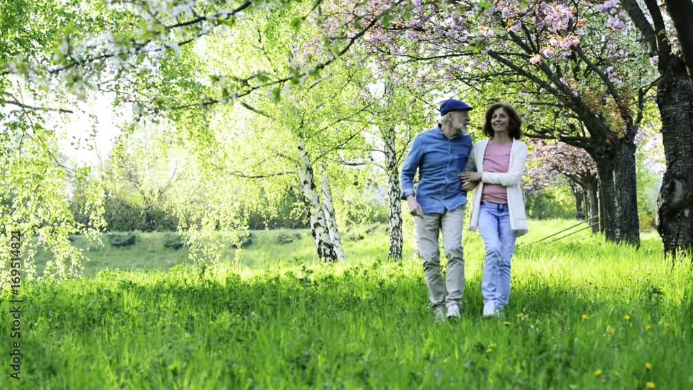 Beautiful senior couple in love outside in spring nature. Beautiful senior couple in love outside in spring nature.