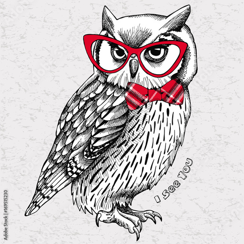 The image of an owl with bow and glasses. Vector illustration.