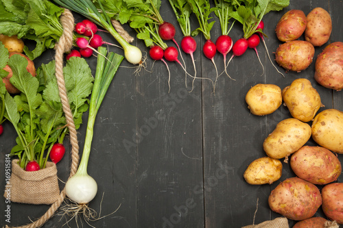 Radishes, potatoes and onions on a black background photo