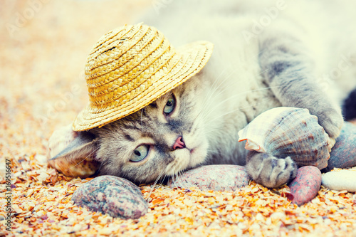 Fototapeta Naklejka Na Ścianę i Meble -  A cat in a straw hat is resting on the beach