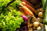 Salad, onions, carrots, beets, zucchini. Fresh vegetables in a basket. Close-up. Selective focus. Horizontal.