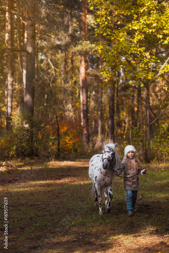 Little cute girl walking with a pony in the autumn forest © polinabelphoto