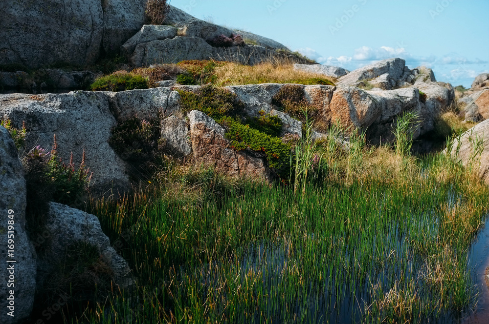 Fototapeta premium Water and Rocks