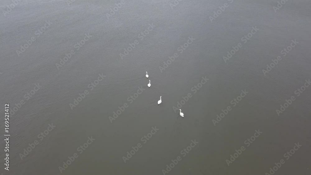 Roja Latvia Baltic Sea Seaside Aerial drone top view 4K UHD video Roja Latvia Baltic Sea Seaside Aerial drone top view 4K UHD video