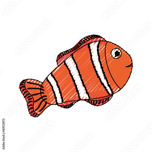 Clown fish animal icon vector illustration graphic design