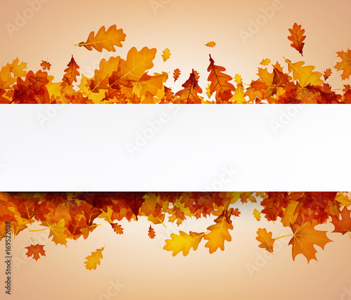 Autumn background with orange leaves.
