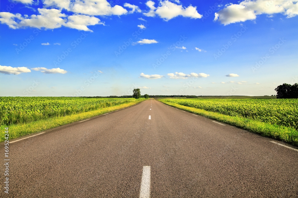 Empty asphalt road and green fields and clouds on blue sky in sunny summer day.