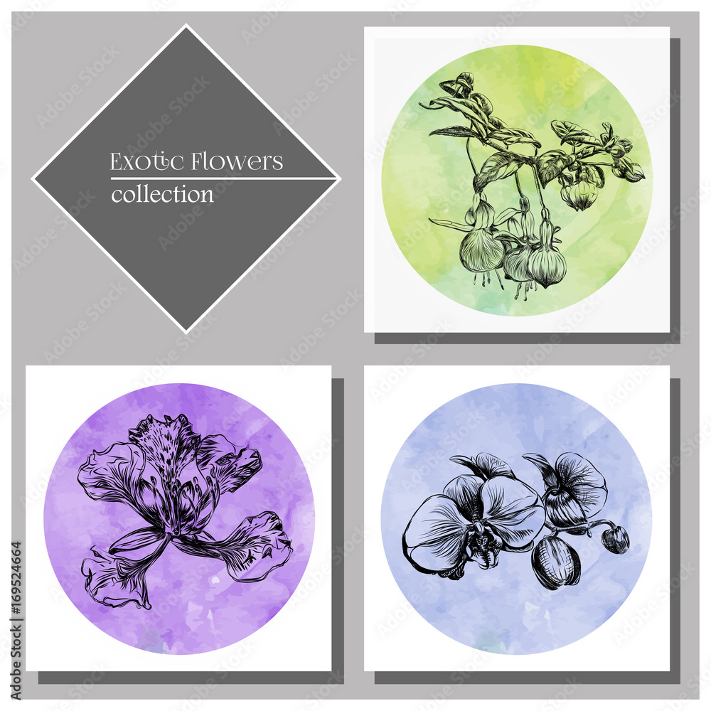 Exotic Flowers Collection: Poinciana, fuchsia and orchid cards set
