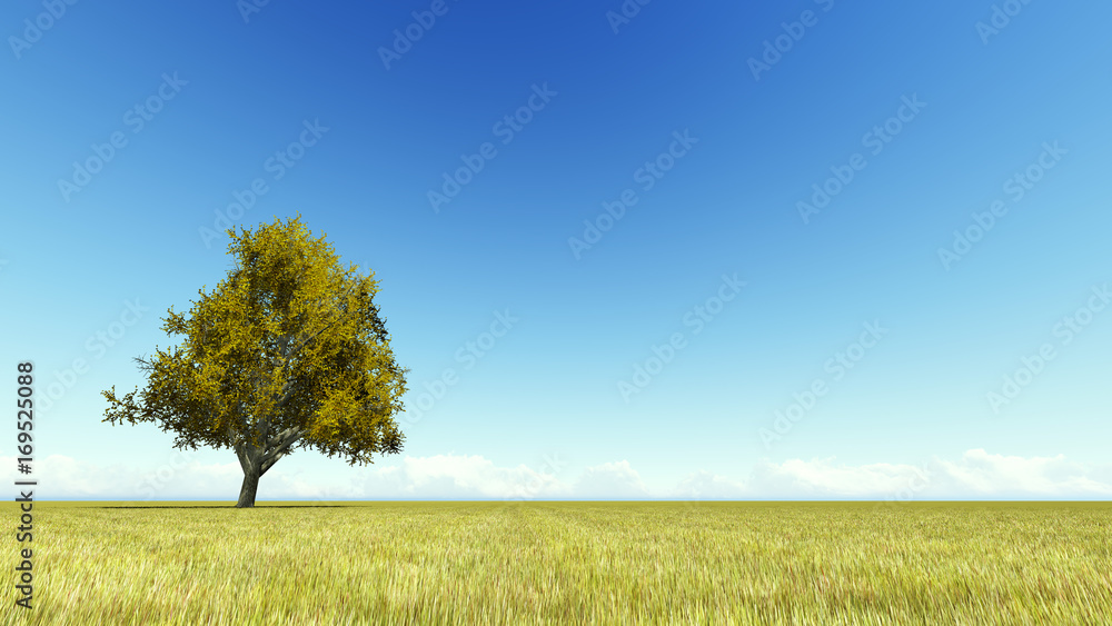 Fototapeta premium Singl autumn tree on a meadow 3D render
