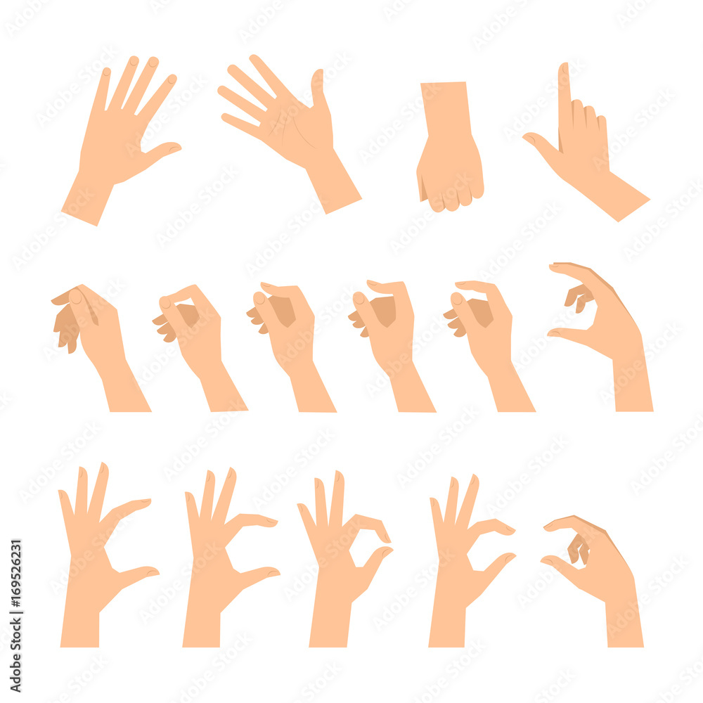 Various gestures of human hands isolated on a white background. Vector flat illustration of female hands in different situations. Vector design elements for infographic, web, internet, presentation. Various gestures of human hands isolated on a white background. Vector flat illustration of female hands in different situations. Vector design elements for infographic, web, internet, presentation.