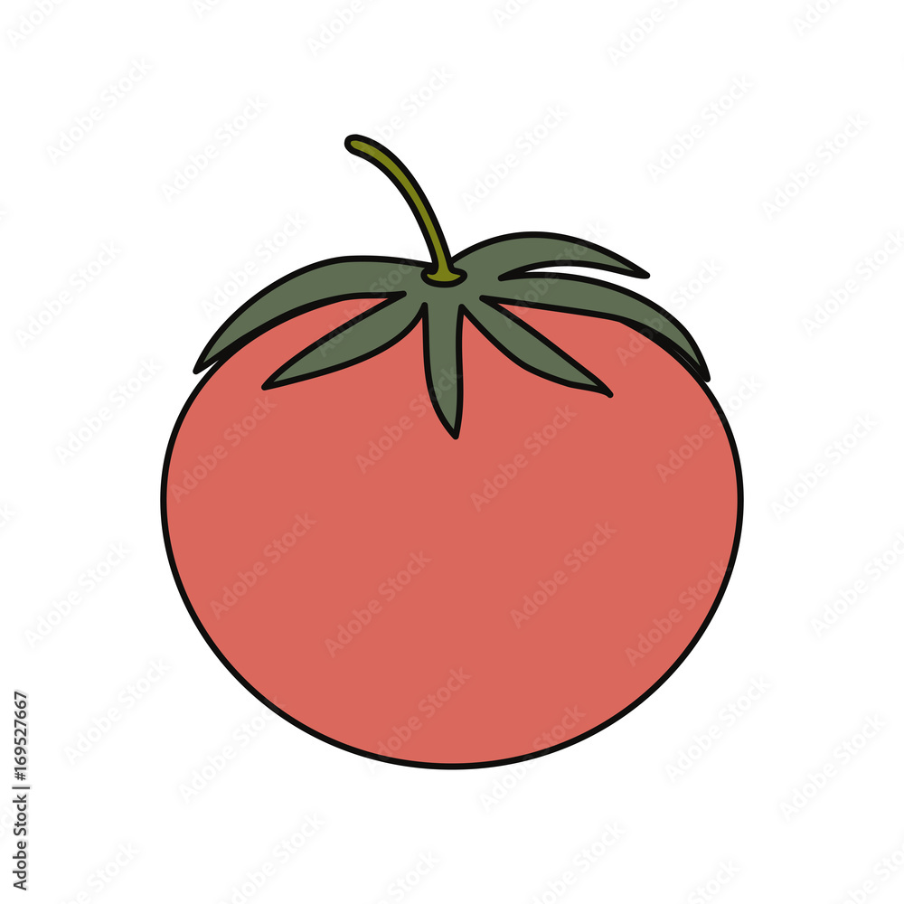 tomato fresh vegetable icon vector illustration graphic design tomato fresh vegetable icon vector illustration graphic design