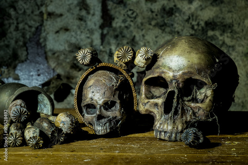 Still life with skull and withered opium head