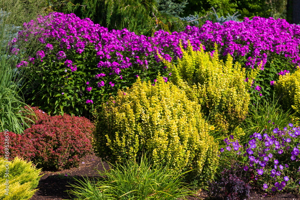 Obraz premium Garden