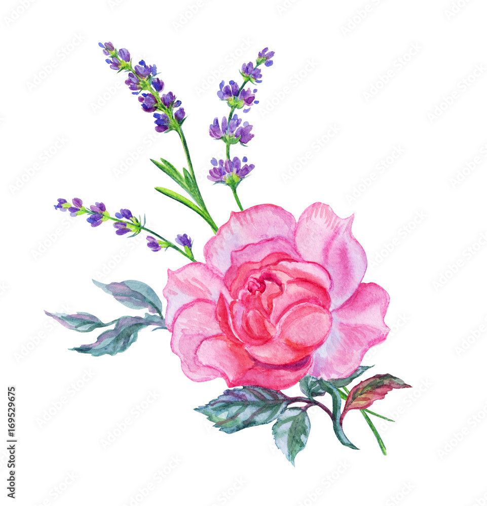 A bouquet of pink roses and lavender. Watercolor drawing on white background isolated with clipping path.