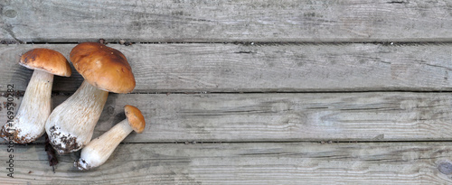 champignons sur fond bois format panoramique