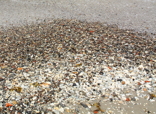 Stones on the beach of Bins on the island of Rueben. Germany photo