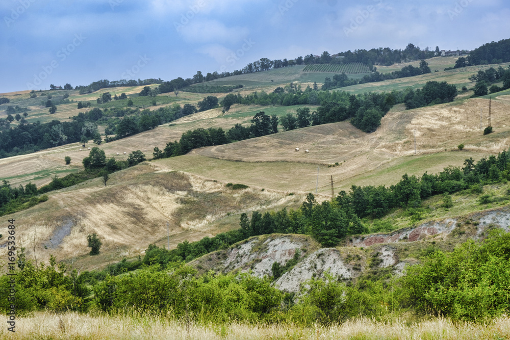 Oltrepo Pavese (Italy), rural landscape at summer Oltrepo Pavese (Italy), rural landscape at summer
