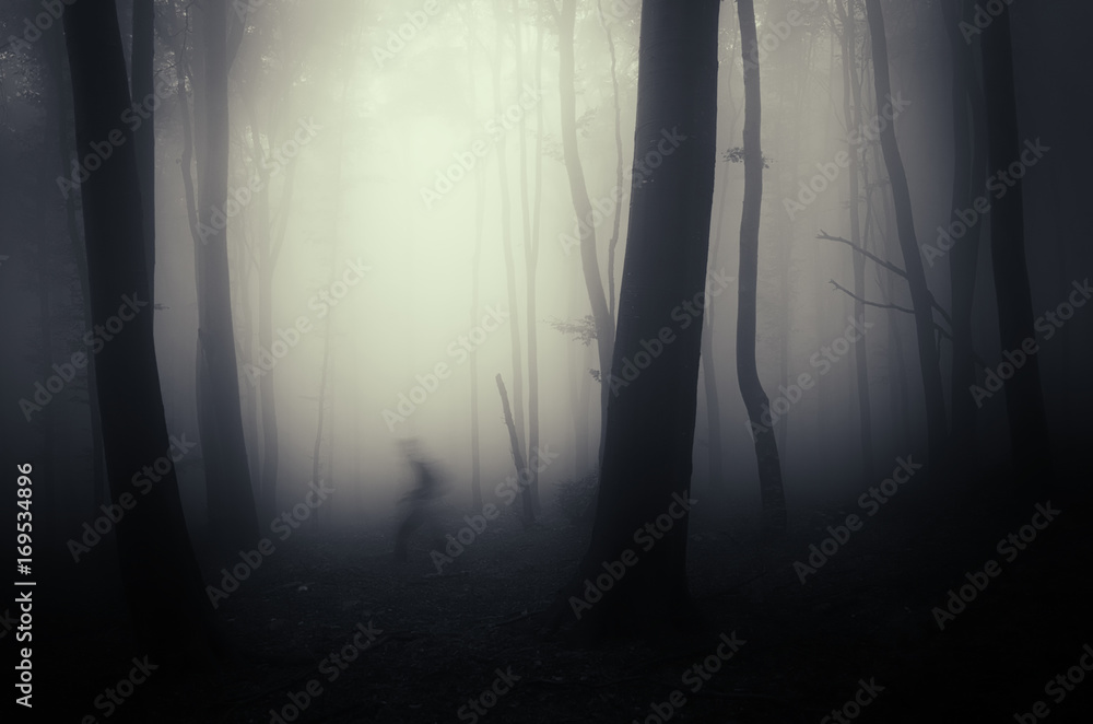 dark scary forest scene with scary ghost dark scary forest scene with scary ghost