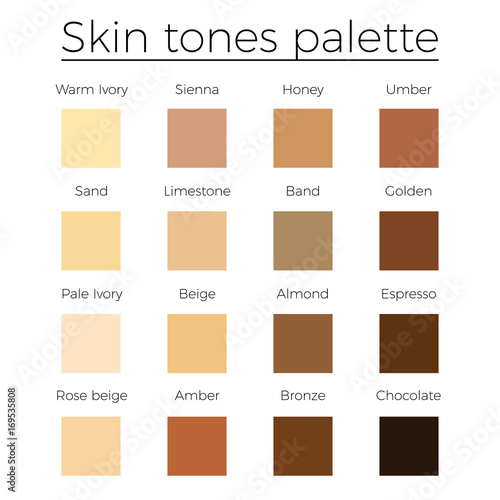 skin tone palette vector