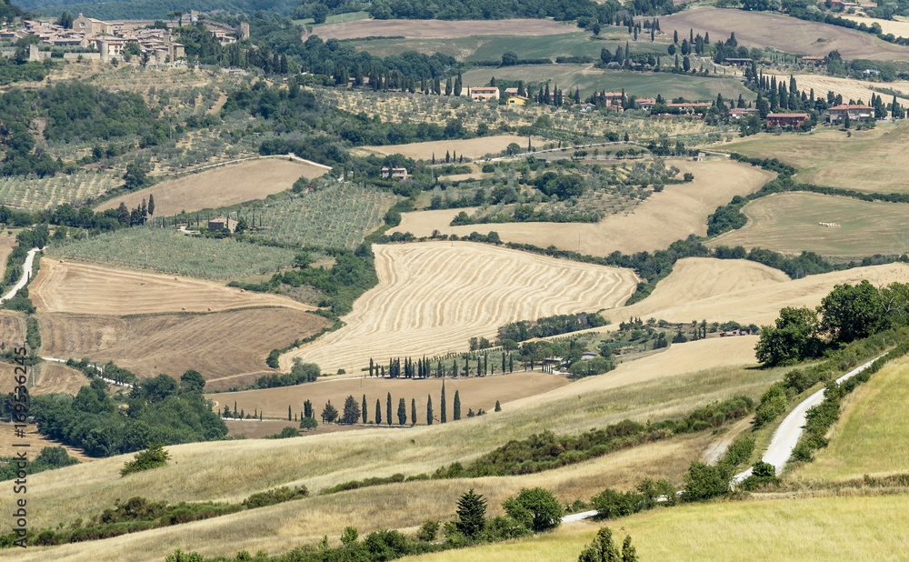 Naklejka premium Beautiful view over the Val d'Orcia countryside between Pienza and Monticchiello, Siena, Italy, on a sunny summer day