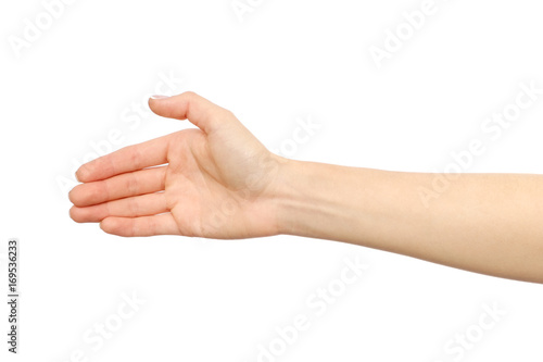 Woman's hand who is willing to make a deal
